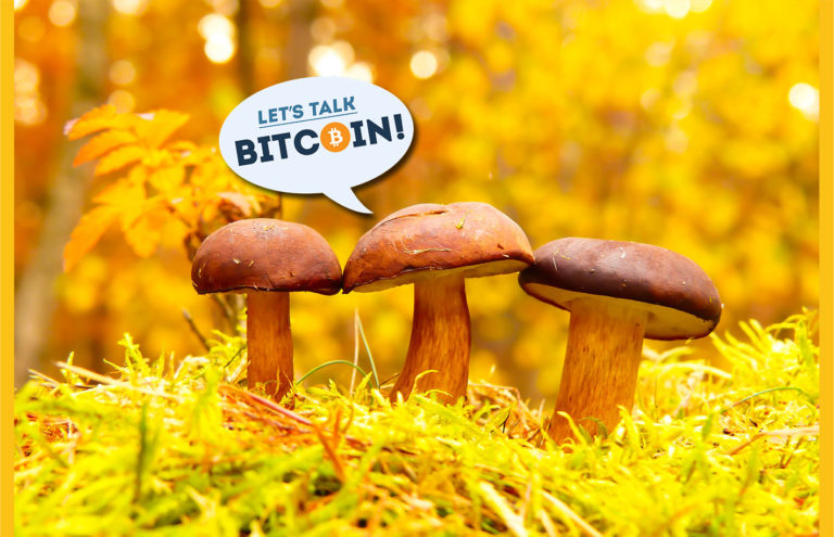 Decentralization Philosophy – Does Crypto Still Need Catalysts?