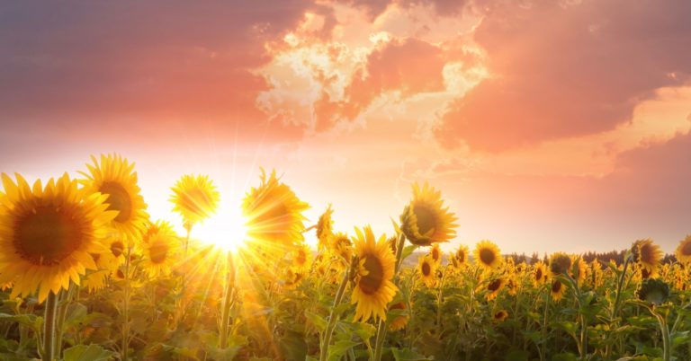 How Bitcoiners Can Protect Their Mental Health During Coronavirus