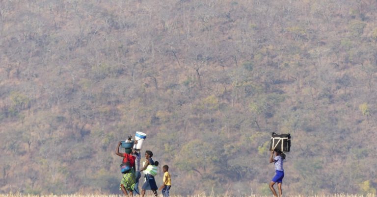 If Bitcoin Works in Zimbabwe, It Works Everywhere- CoinDesk